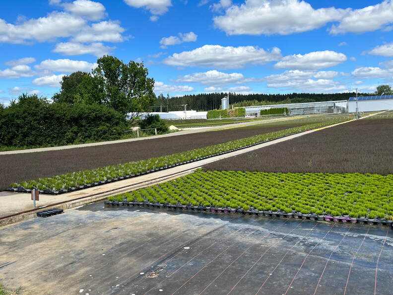 22-07-10 16-01-49 1616